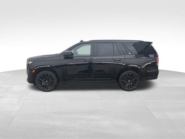 2023 Cadillac Escalade Sport Platinum photo 3