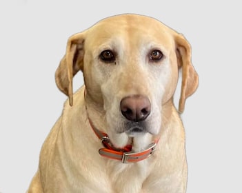 Staff member Gracie from bfc1a95e3022