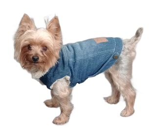 Staff member Rolo from bfc1a95e3022