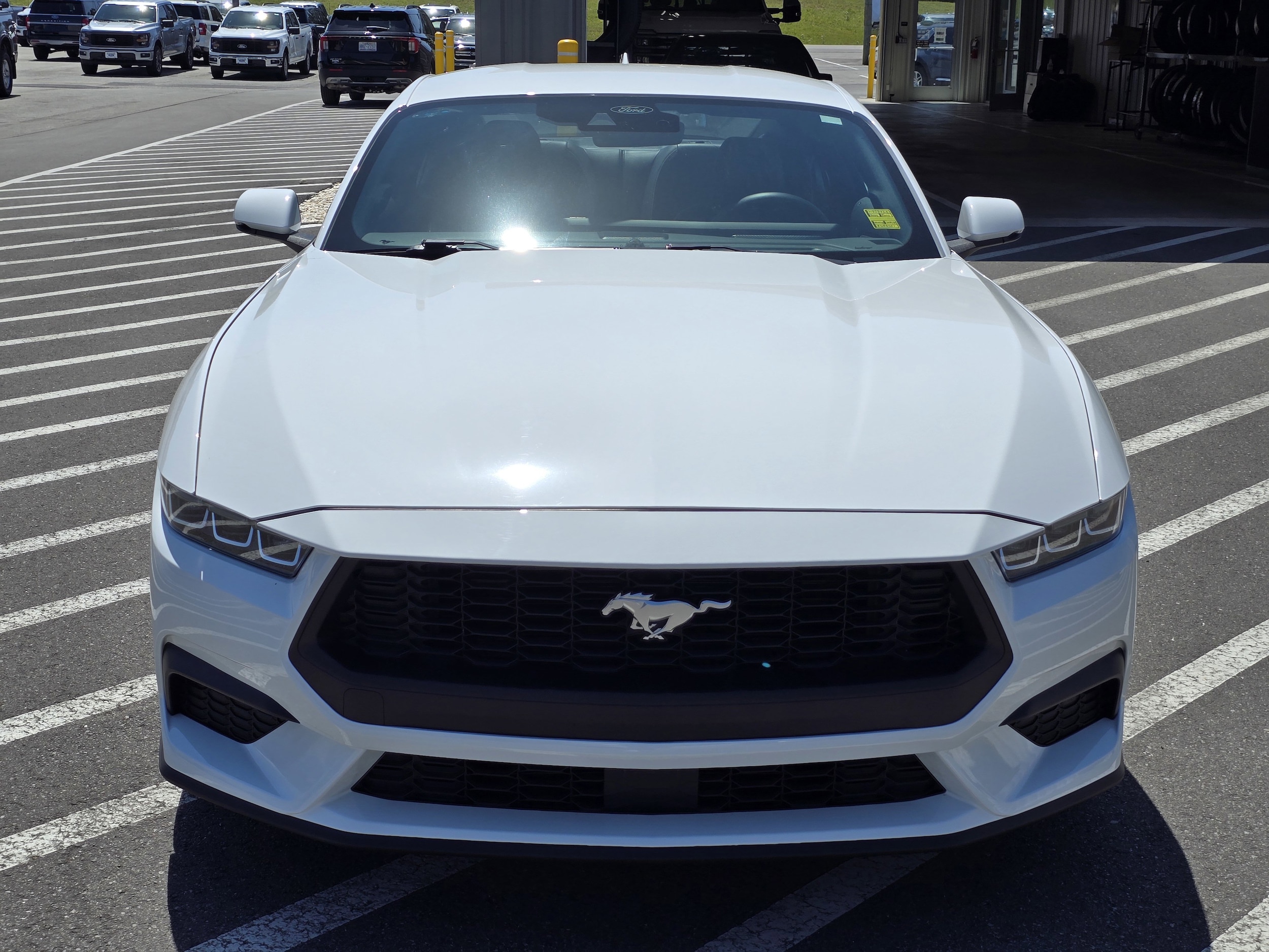 Used 2024 Ford Mustang EcoBoost Premium with VIN 1FA6P8TH0R5106301 for sale in Jacksonville, NC