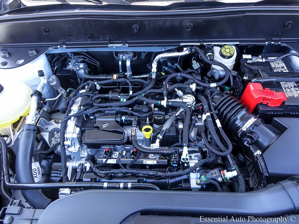 Photo 23