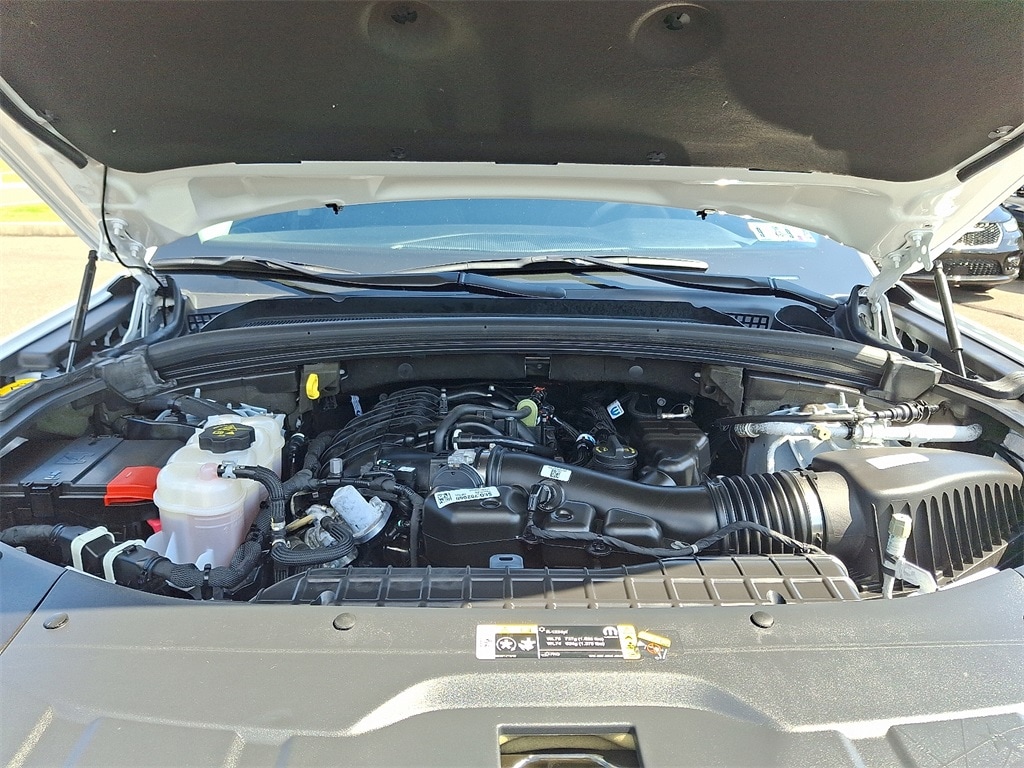 View 25