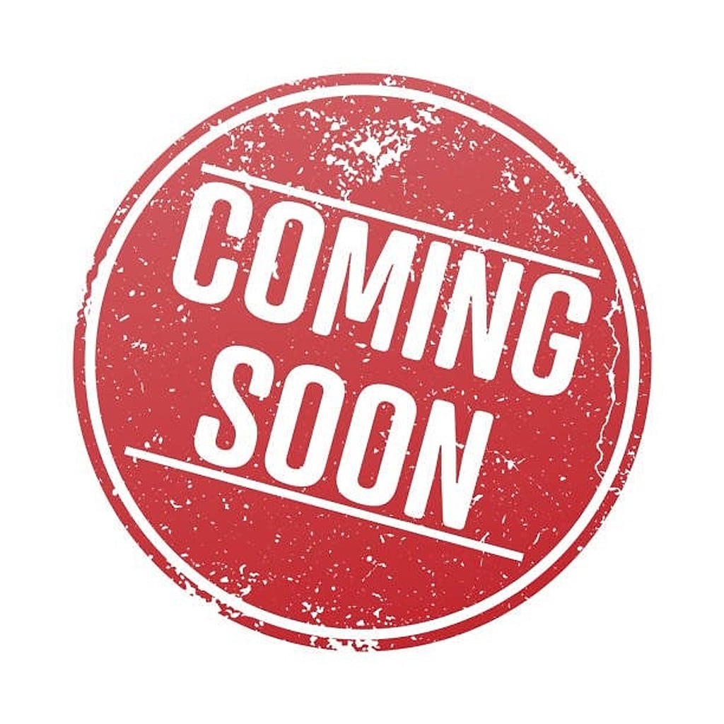 2024 Chrysler Pacifica Touring L's photo