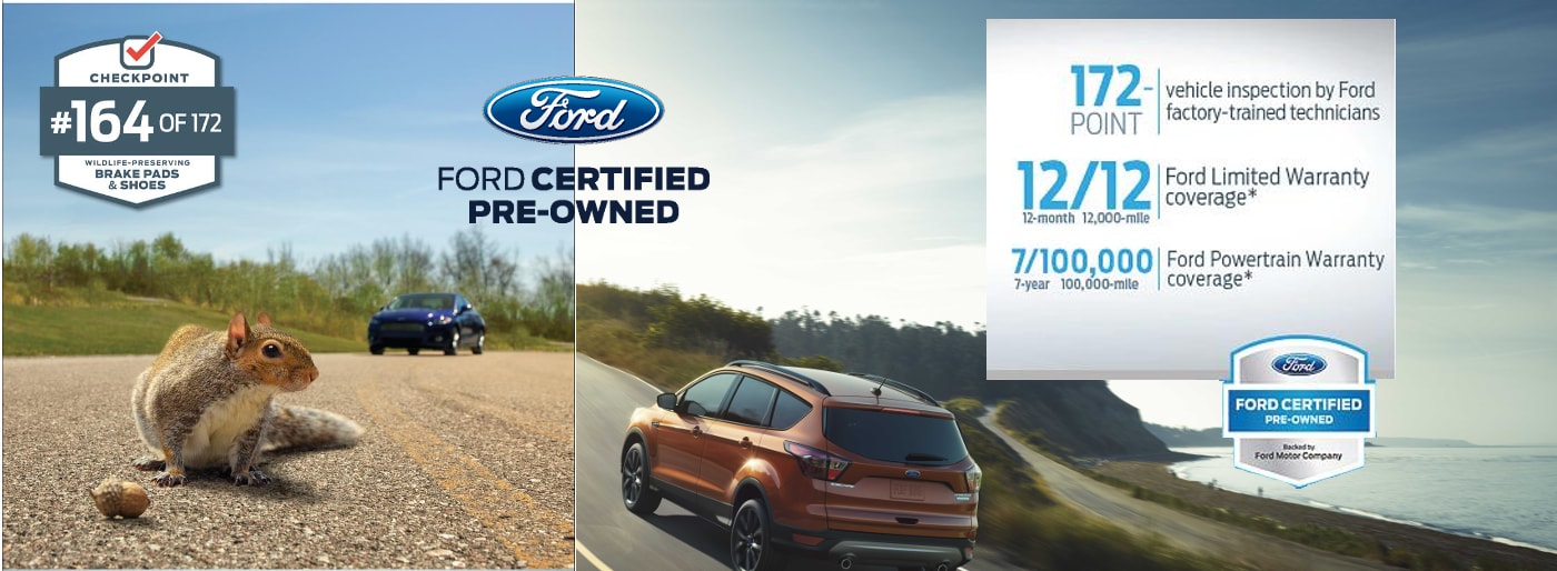 Car Dealerships In Daphne Al >> Sandy Sansing Ford Lincoln | New Ford, Lincoln Dealership ... Car Dealerships In Daphne Al >> Sandy Sansing Ford Lincoln | New Ford, Lincoln Dealership ...