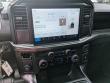 2025 Ford F-150 STX Crew Cab Short Bed Truck