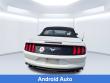2022 Ford Mustang Ecoboost Premium Convertible