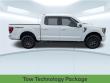 2021 Ford F-150 Tremor Crew Cab Truck