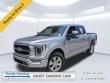2021 Ford F-150 Platinum Crew Cab Truck