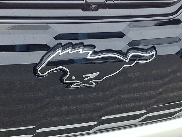 2025 Ford Mustang Mach-E GT AWD - Photo 31