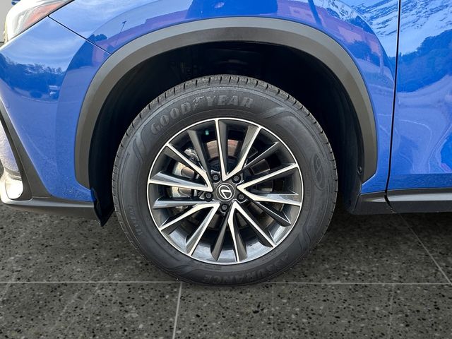 2024 Lexus NX 350 - Photo 14