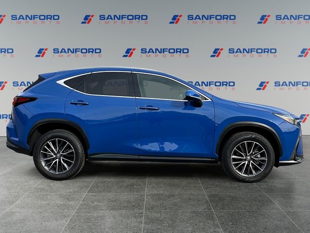 2024 Lexus NX 350 - Photo 6