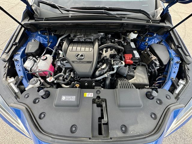 2024 Lexus NX 350 - Photo 31