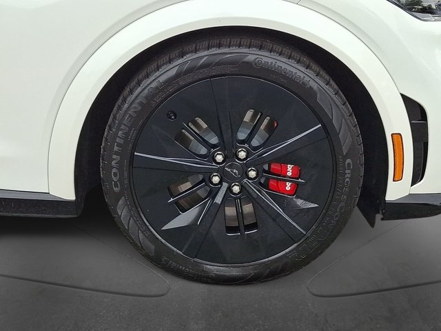 2025 Ford Mustang Mach-E GT AWD - Photo 8