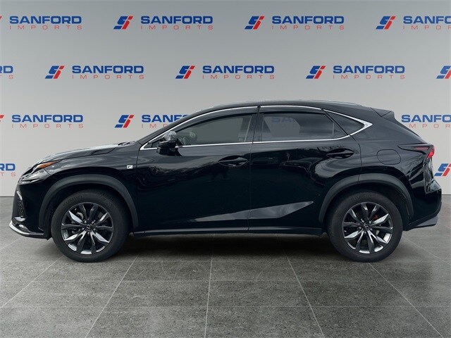 2018 Lexus NX 300 F SPORT photo 2