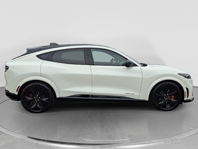 2025 Ford Mustang Mach-E GT AWD - Photo 7