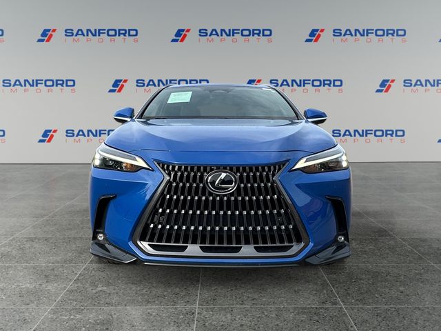 2024 Lexus NX 350 - Photo 8
