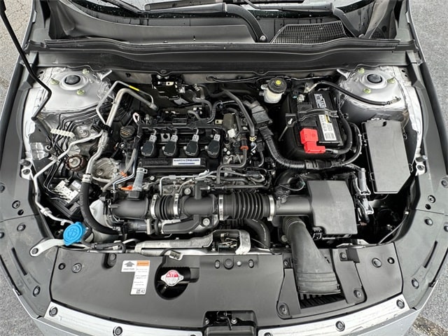 View 31