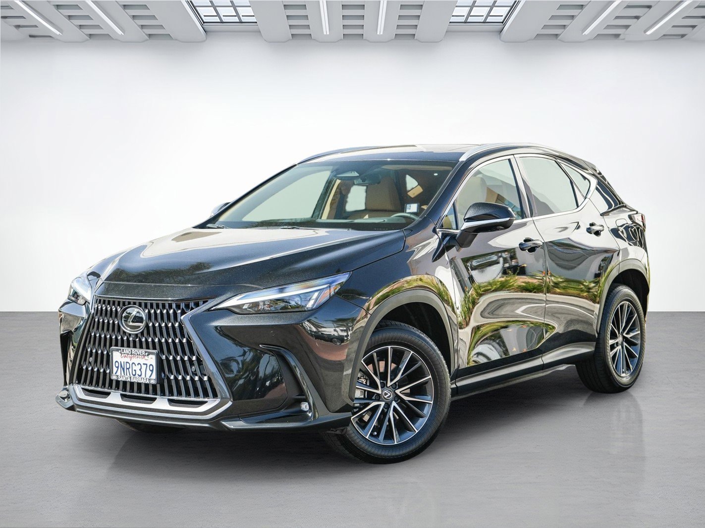 2025 Lexus NX 350h 350h Premium AWD's photo