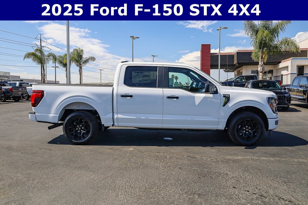 New 2025 Ford F-150 STX Truck