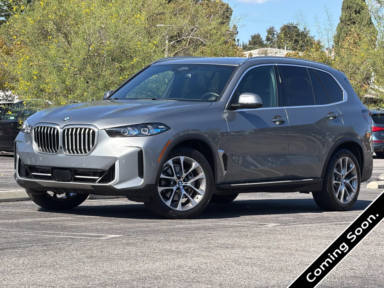 2024 BMW X5