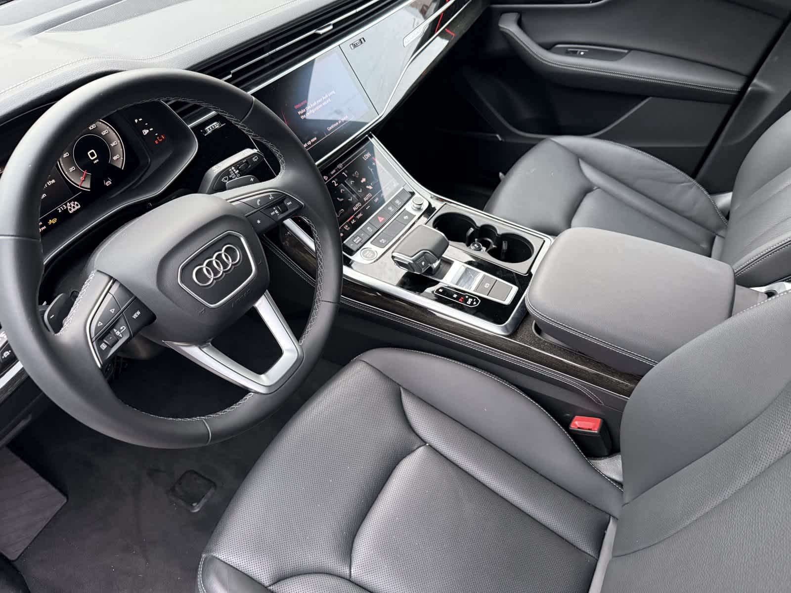 Thumbnail: 2025 Audi Q8 - 10