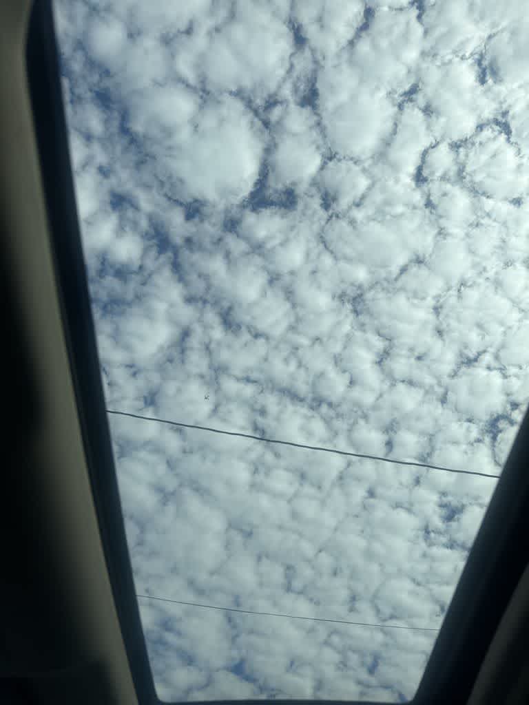 Thumbnail: 2019 Honda Accord - 21