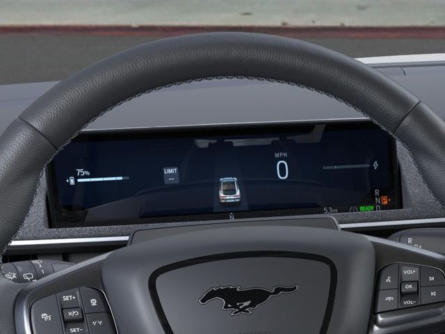 2025 Ford Mustang Mach-E GT - Photo 13