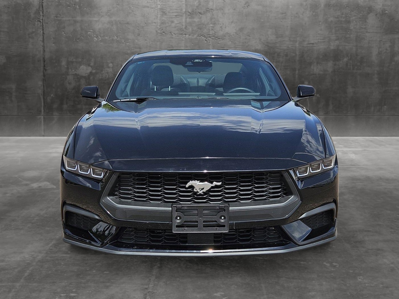 Used 2024 Ford Mustang EcoBoost with VIN 1FA6P8TH8R5108006 for sale in Chandler, AZ