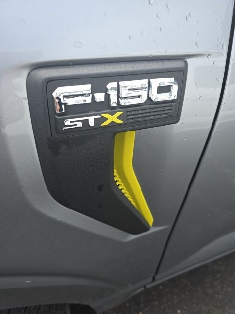 2024 Ford F-150 STX - Photo 6