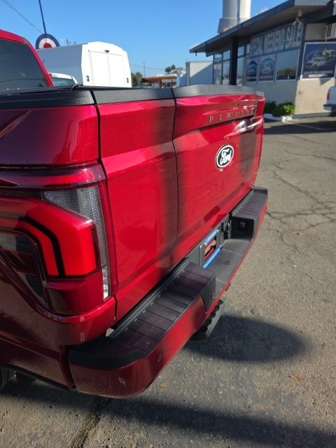 2025 Ford F-150 Platinum - Photo 9