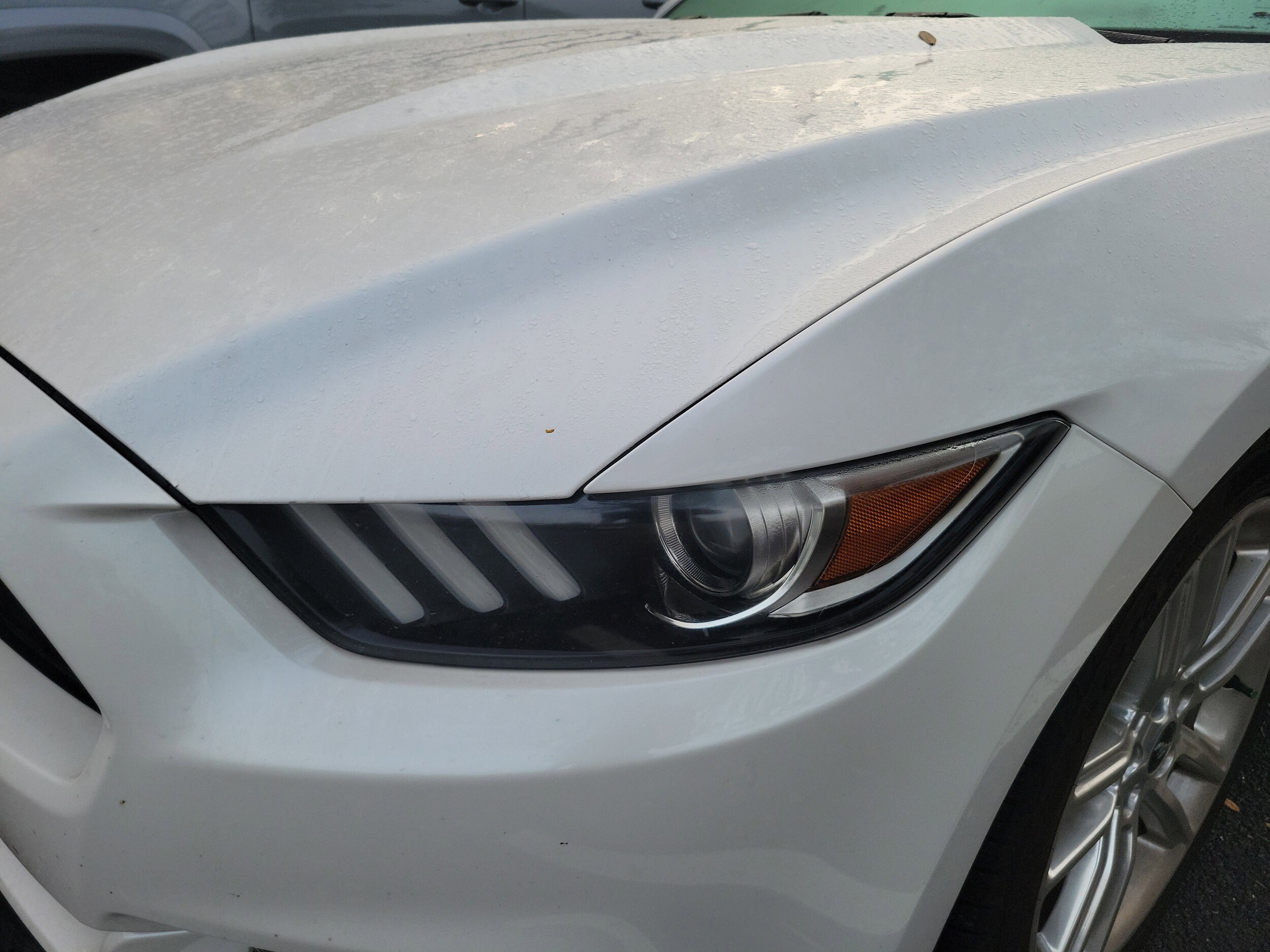 2017 Ford Mustang EcoBoost Premium photo 2