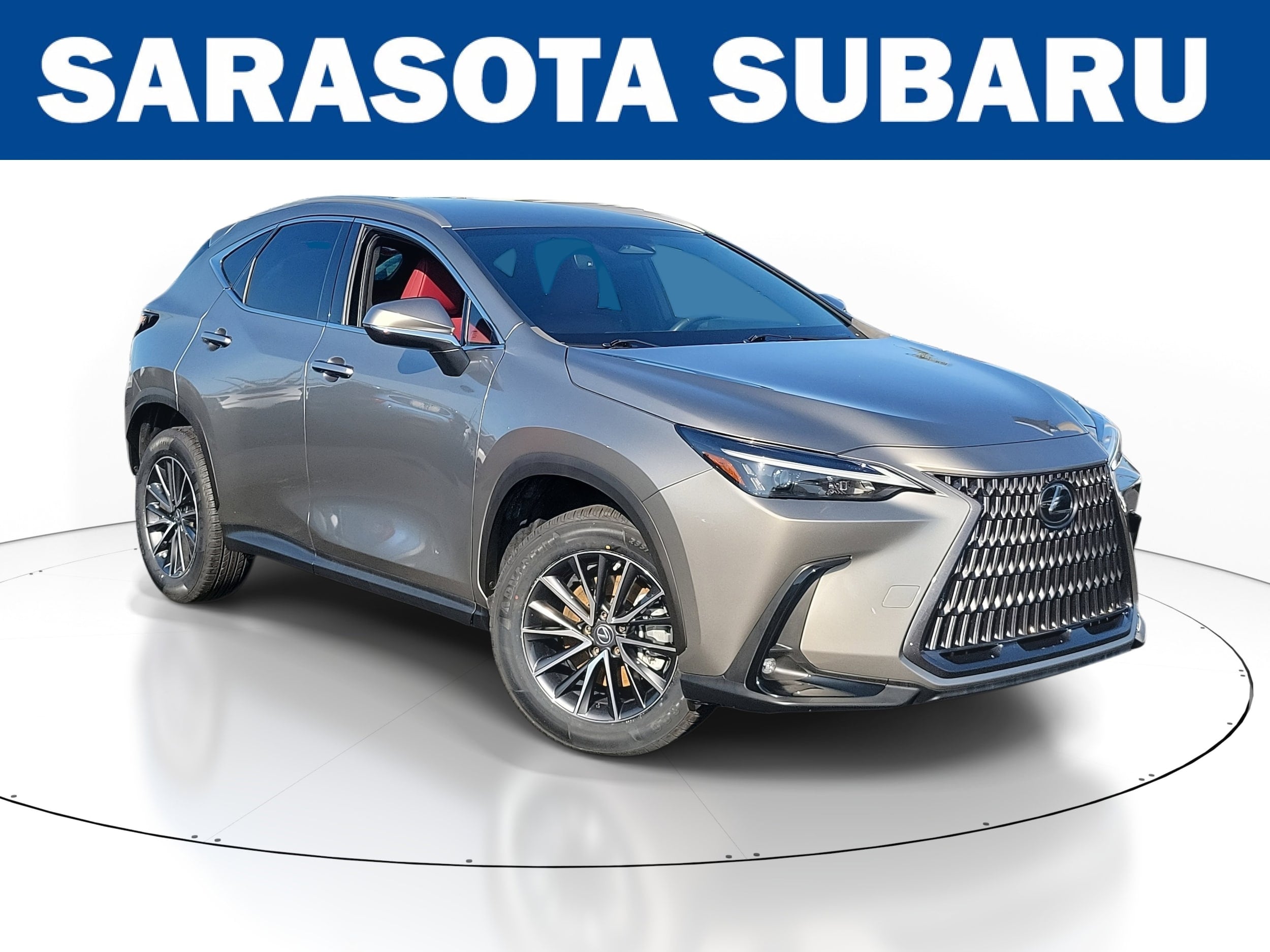 2023 Lexus NX Base's photo