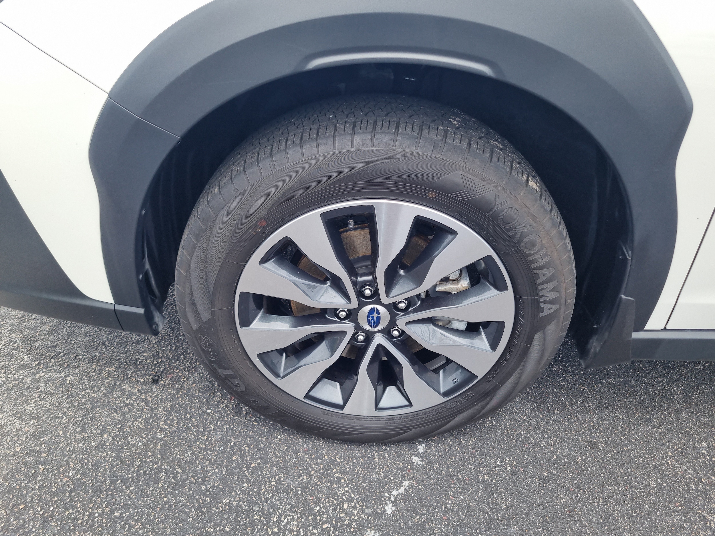 Photo 7