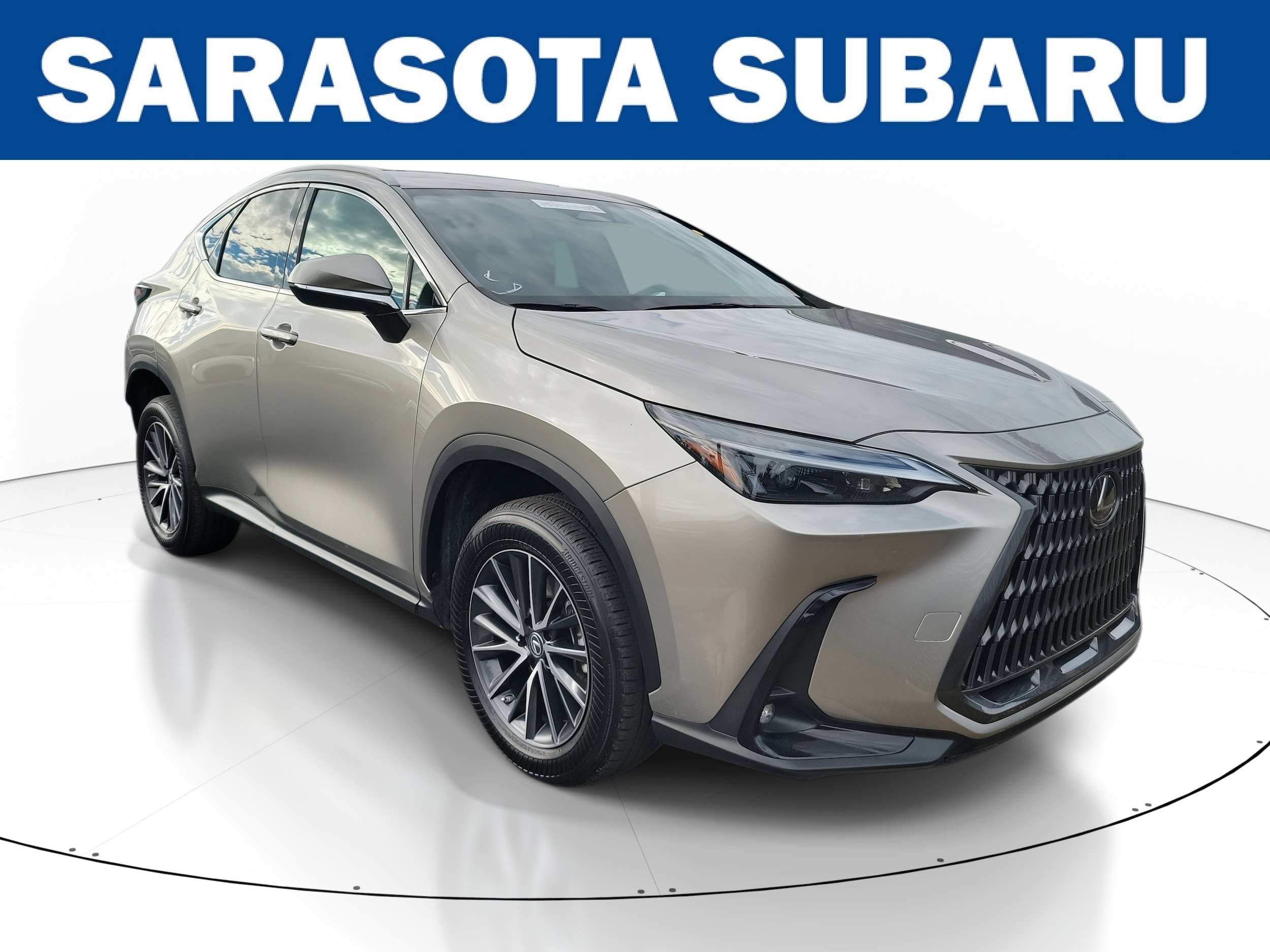 2023 Lexus NX 250's photo