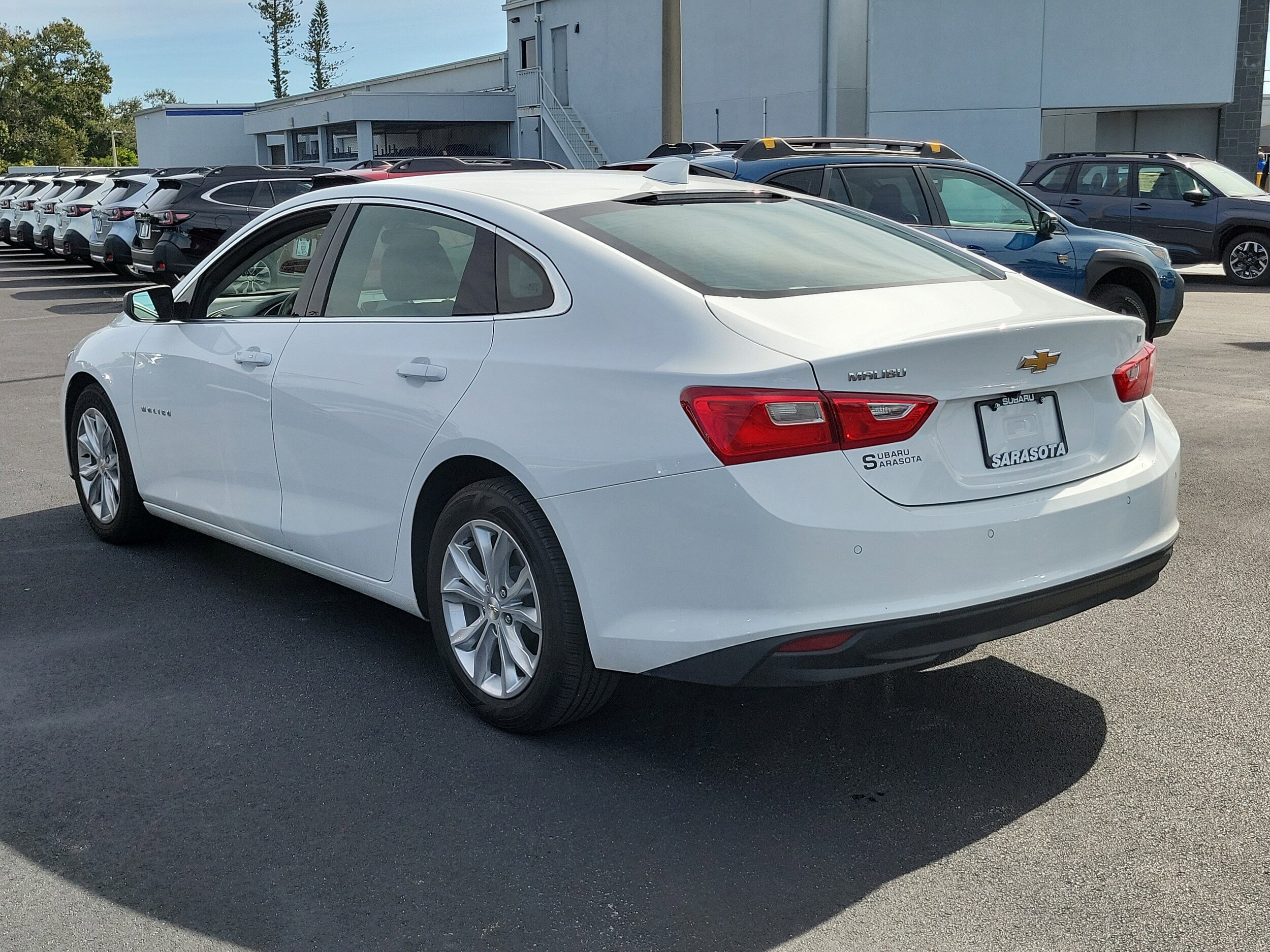 2024 Chevrolet Malibu 1LT photo 3