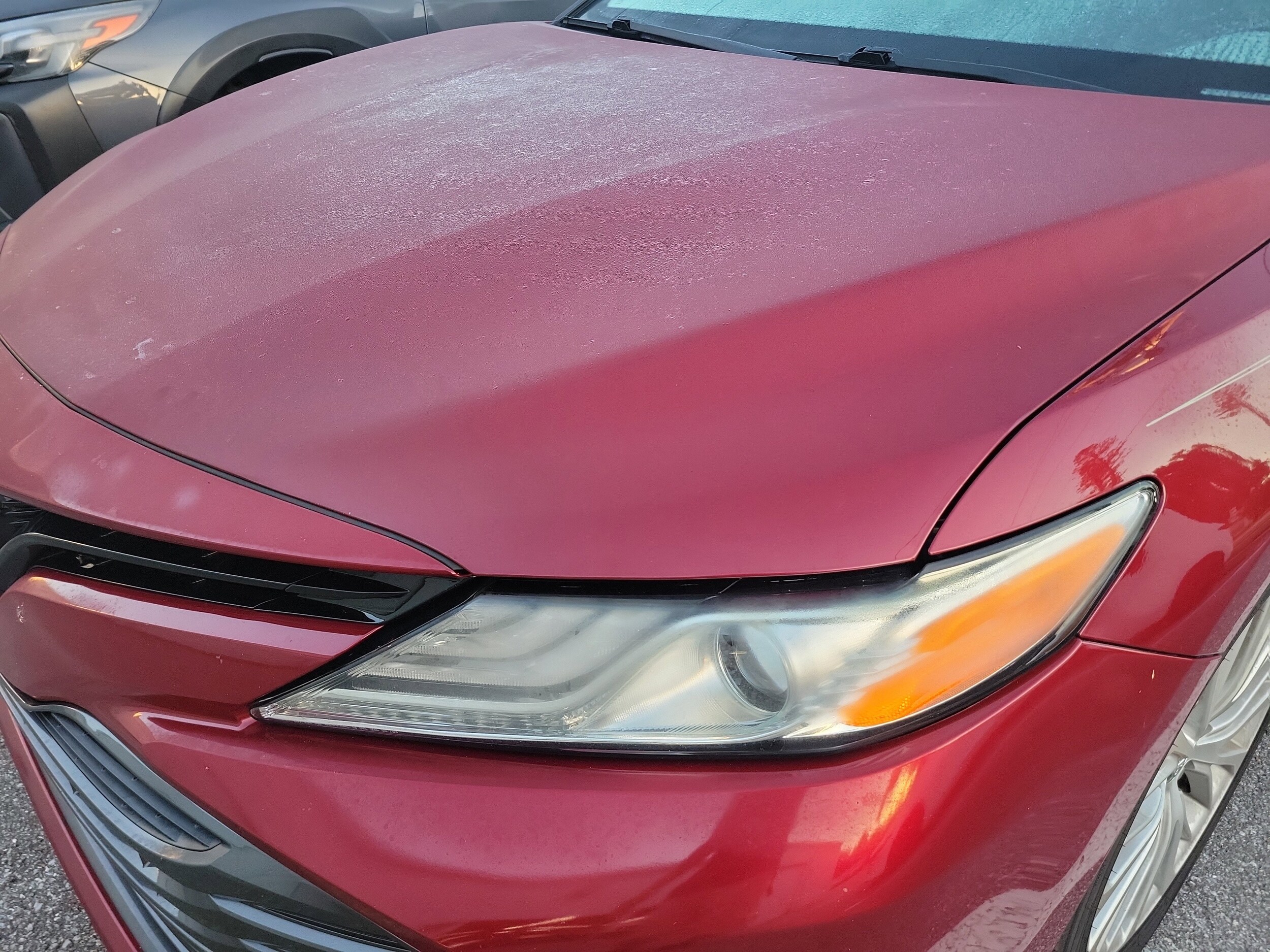 2019 Toyota Camry L photo 2