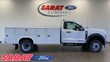 Ford F-550 Chassis