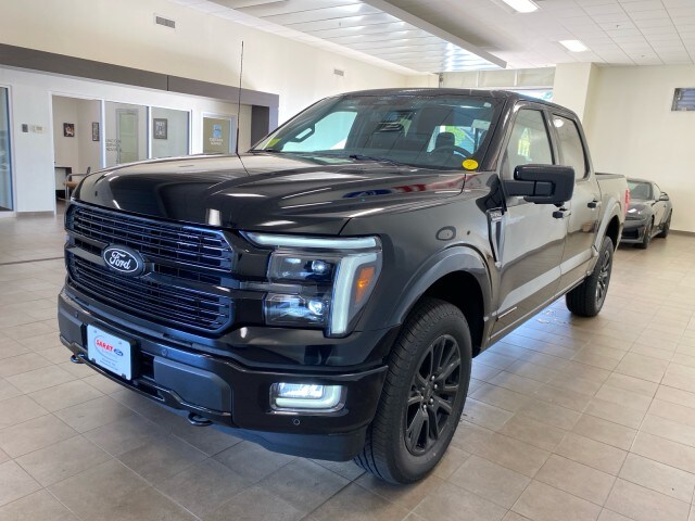 2025 Ford F-150 Platinum photo 2