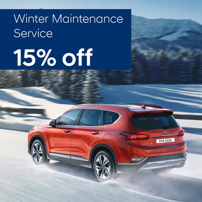 15% OFF – WINTER MAINTENANCE SERVICE 15% OFF – WINTER MAINTENANCE SERVICE