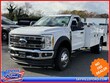 Ford F-450 Chassis