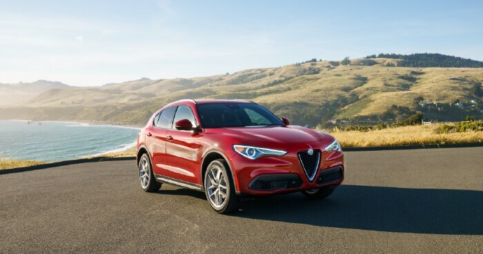 Stelvio Ti.png