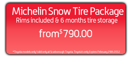 Michelin Snow Tire Package