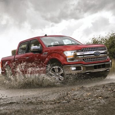 The New 2019 Ford F 150 Xlt Pickup Truck Model Research