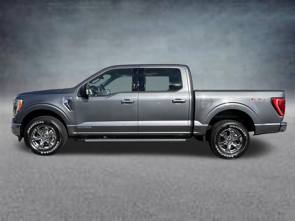 Used 2023 Ford F-150 XL Truck SuperCrew Cab