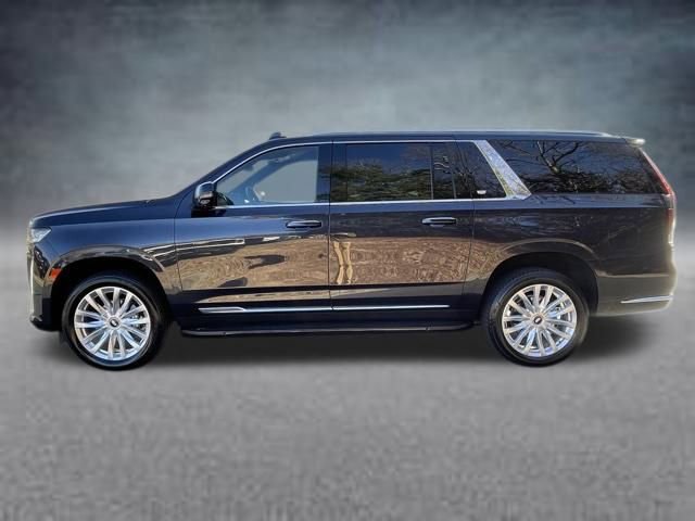2024 Cadillac Escalade ESV Luxury photo 2