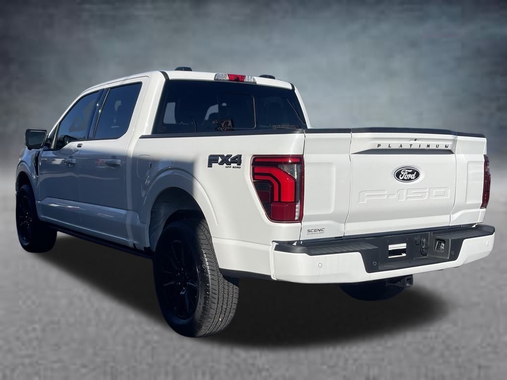 2025 Ford F-150 Platinum - Photo 22