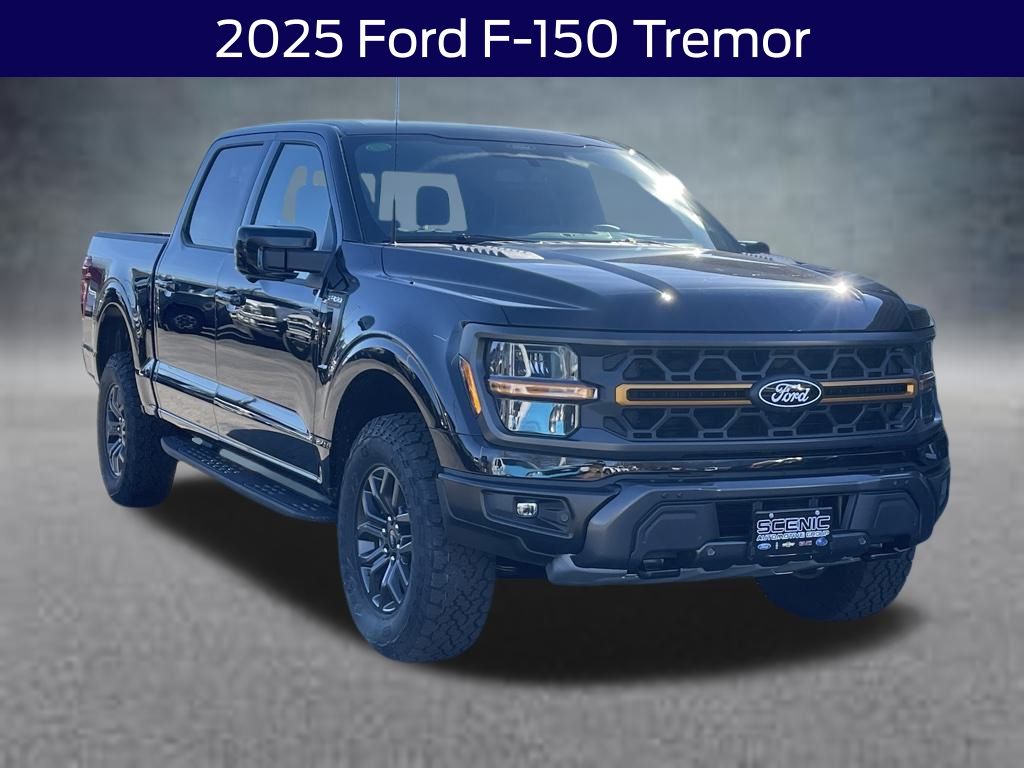 2025 Ford F-150 Tremor's photo