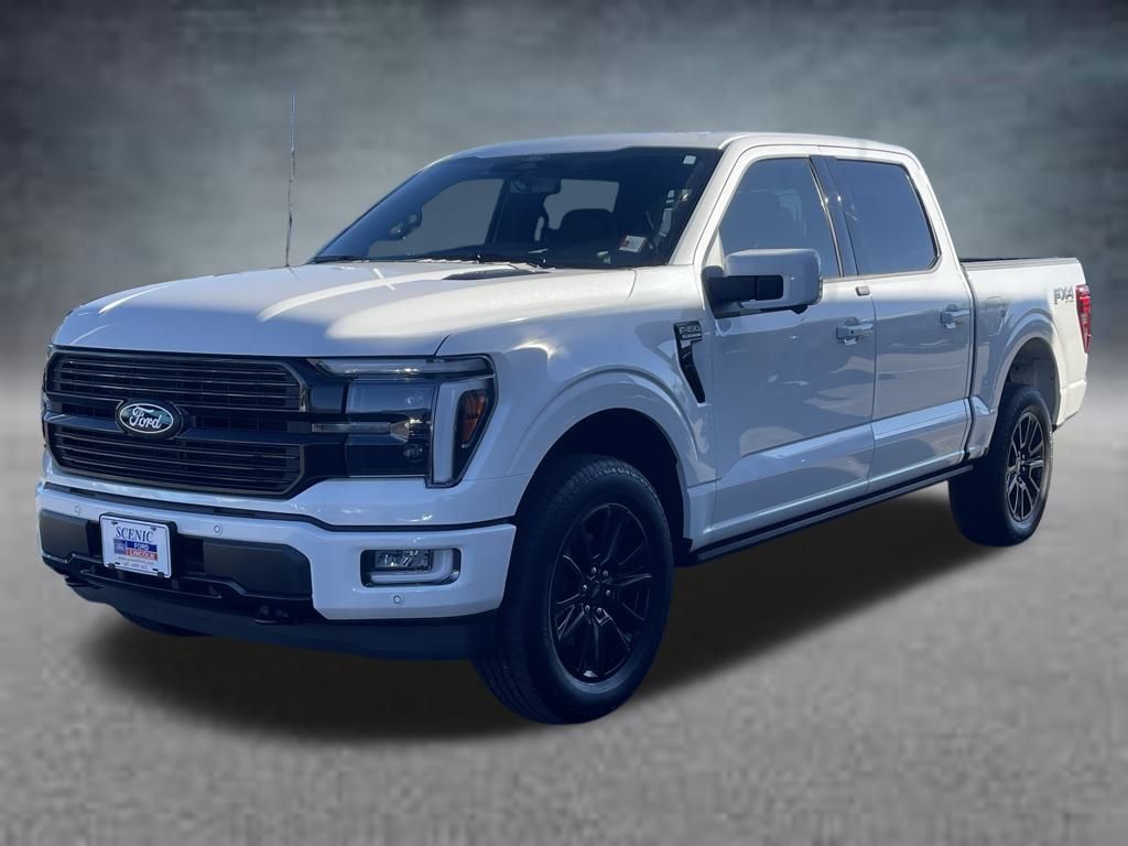 2025 Ford F-150 Platinum - Photo 28