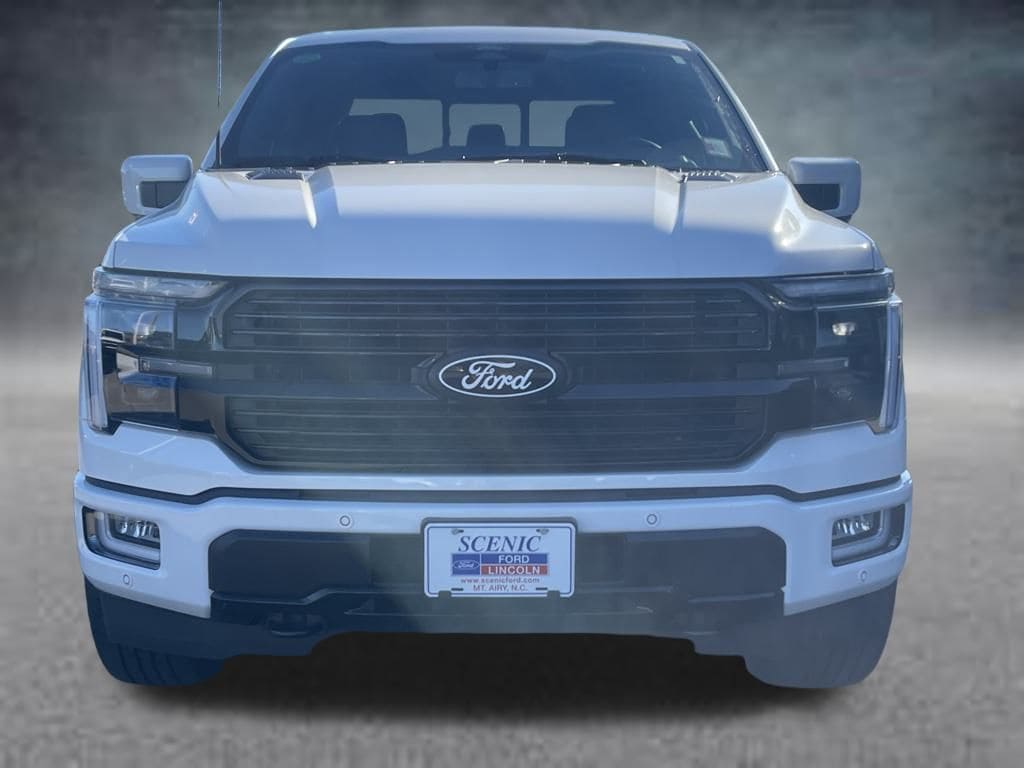 2025 Ford F-150 Platinum - Photo 29