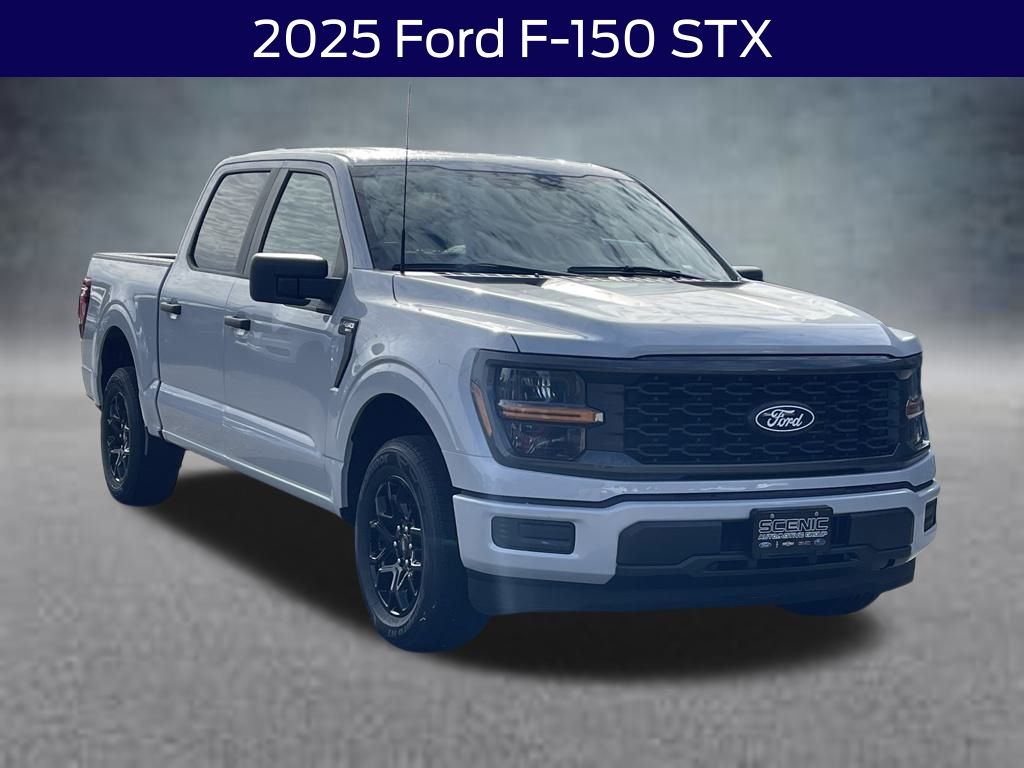 2025 Ford F-150 STX's photo